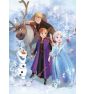 Dimcol Κουβέρτα Fleece Disney Frozen 100X150