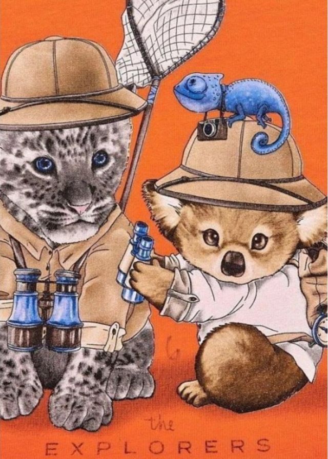 Mayoral Μπλούζα Κοντομάνικη Για Αγόρι 29-01019-079